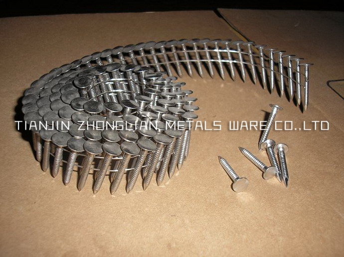 Stainless Coil Roofing nail-Tianjin Zhonglian Metals Ware Co., Ltd