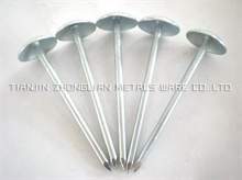 EG Umbrella Head Roofing Nails